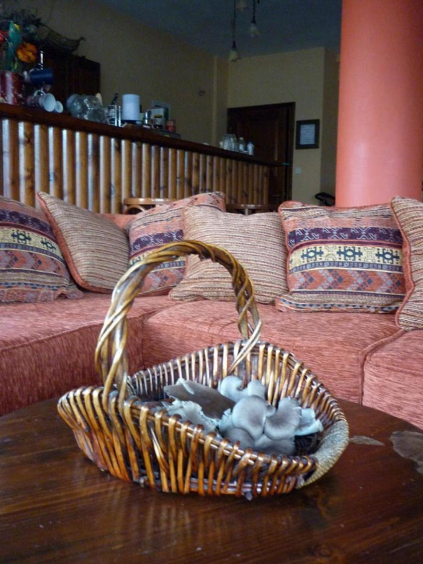 Aparthotel Archontiko Christodoulou à Vronterón Extérieur photo